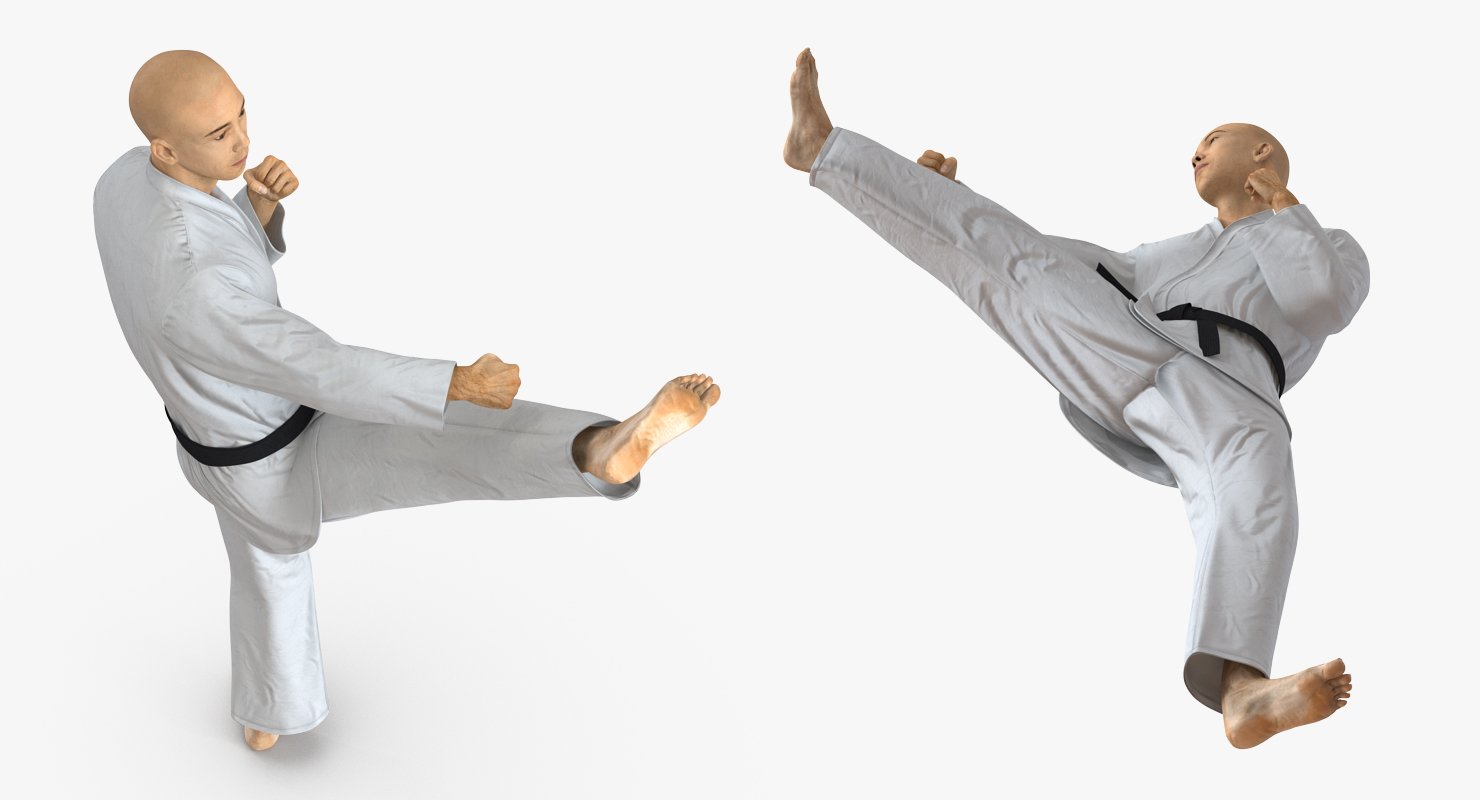 3D model Japanese Karate Fighter Rigged