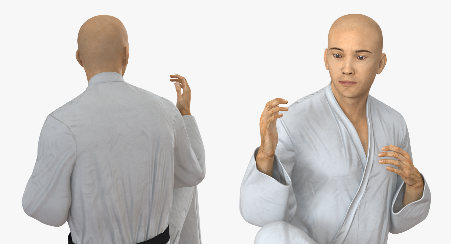 3D model Japanese Karate Fighter Rigged