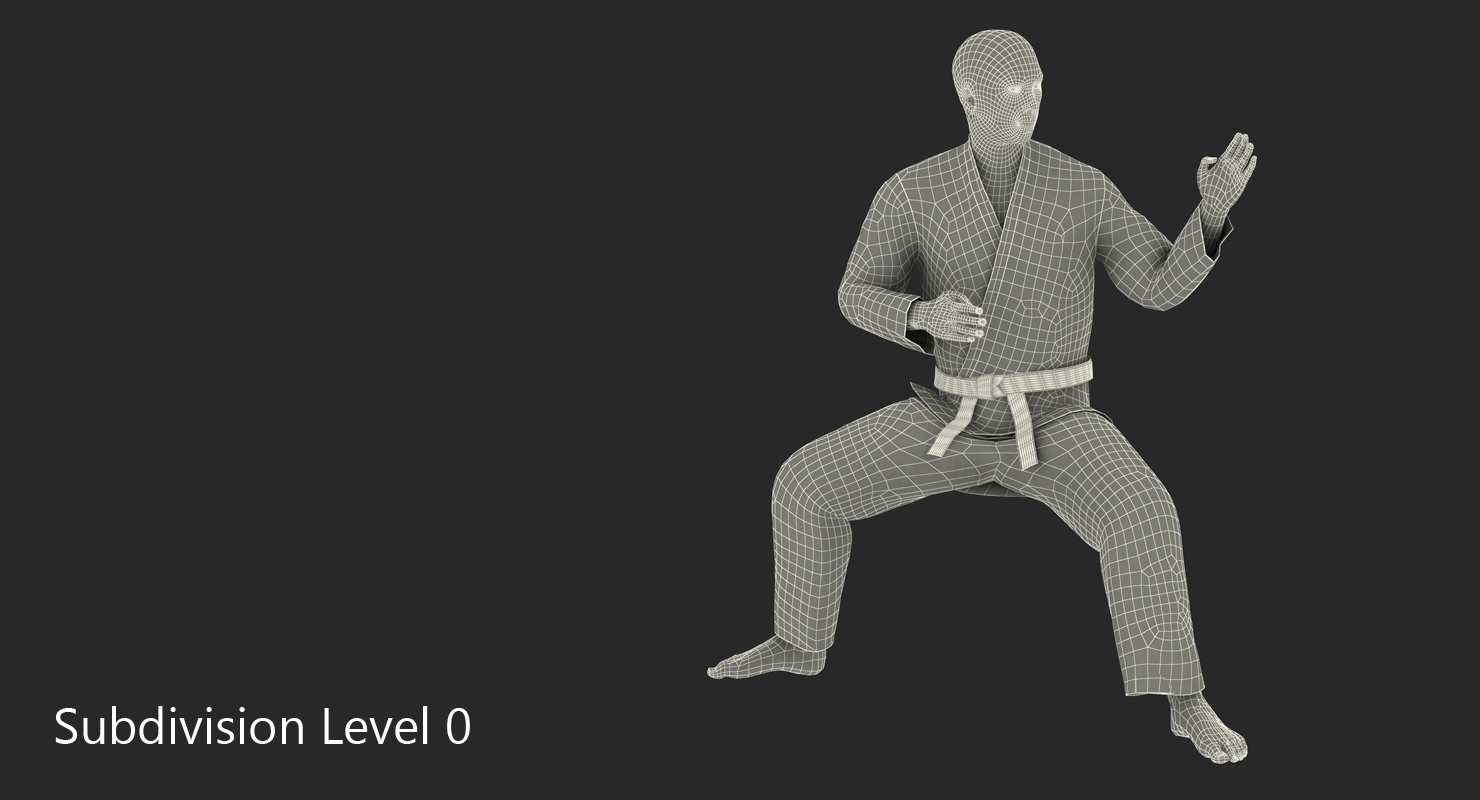 3D model Japanese Karate Fighter Rigged