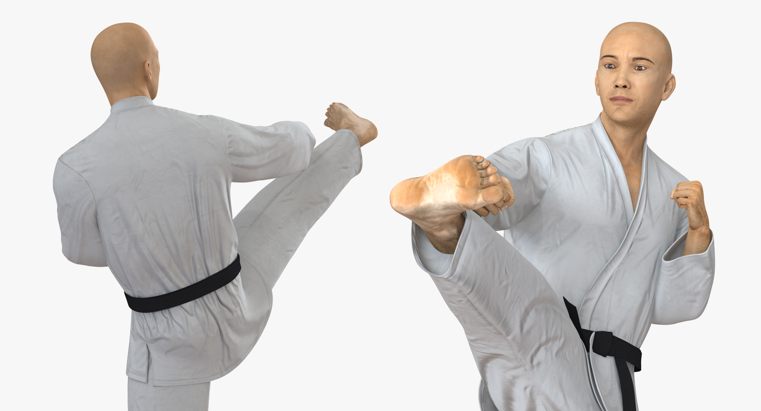 3D model Japanese Karate Fighter Rigged