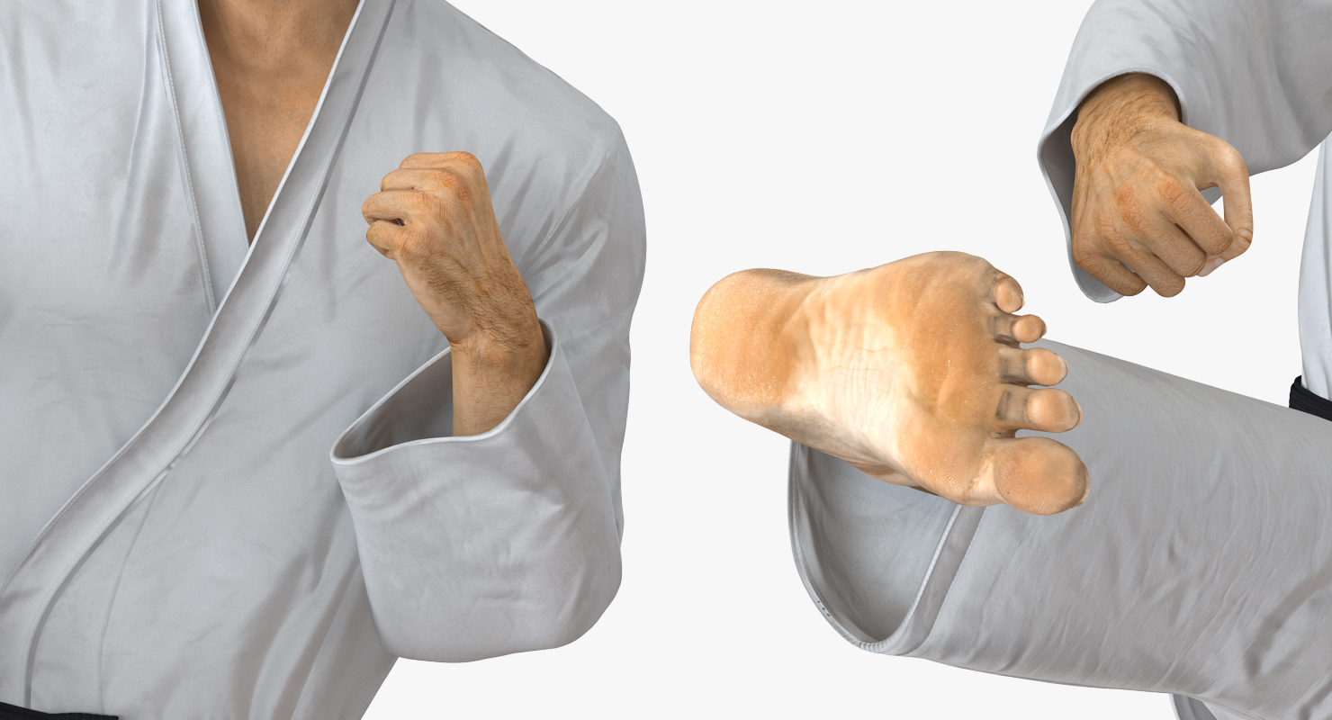 3D model Japanese Karate Fighter Rigged