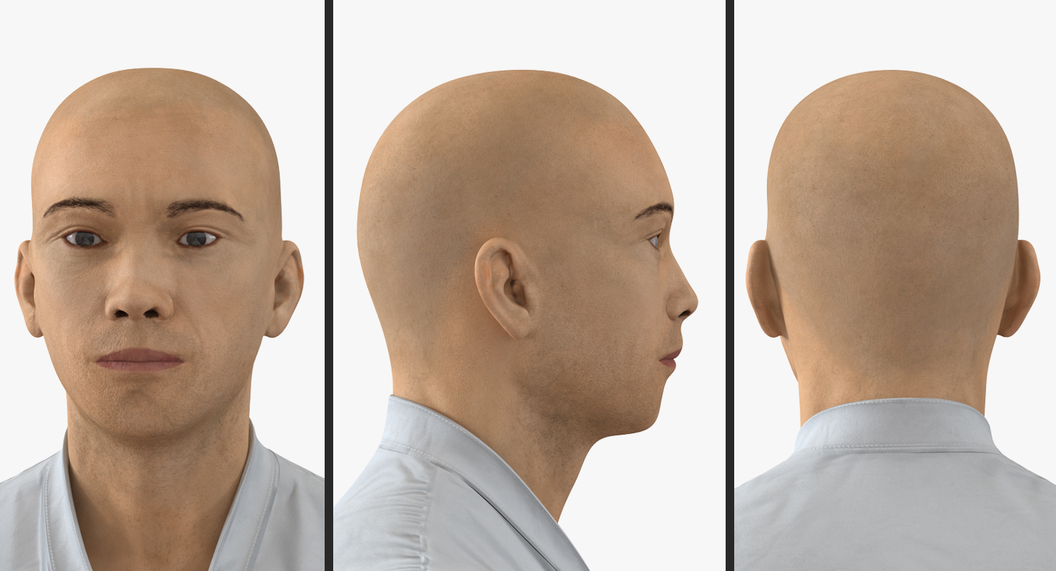 3D model Japanese Karate Fighter Rigged