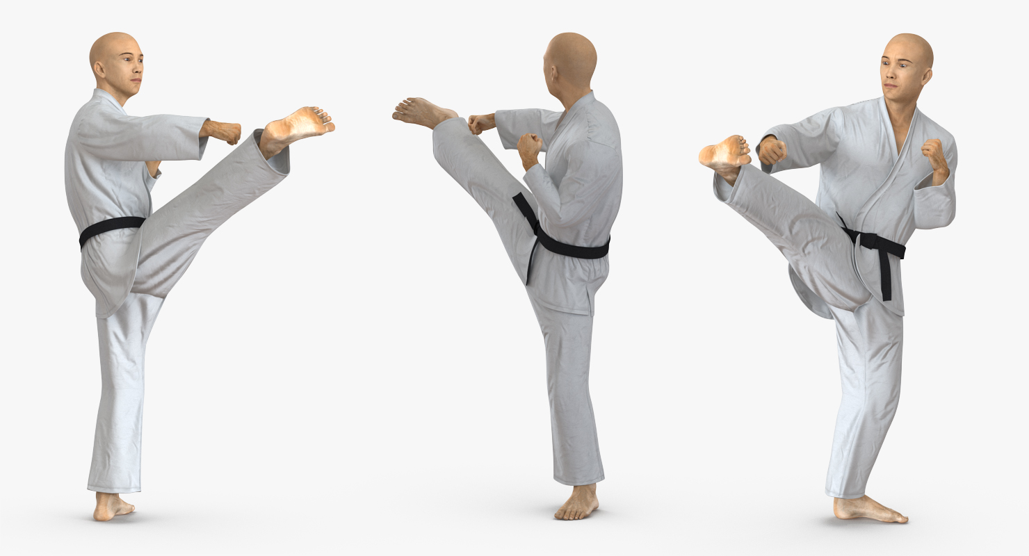 3D model Japanese Karate Fighter Rigged