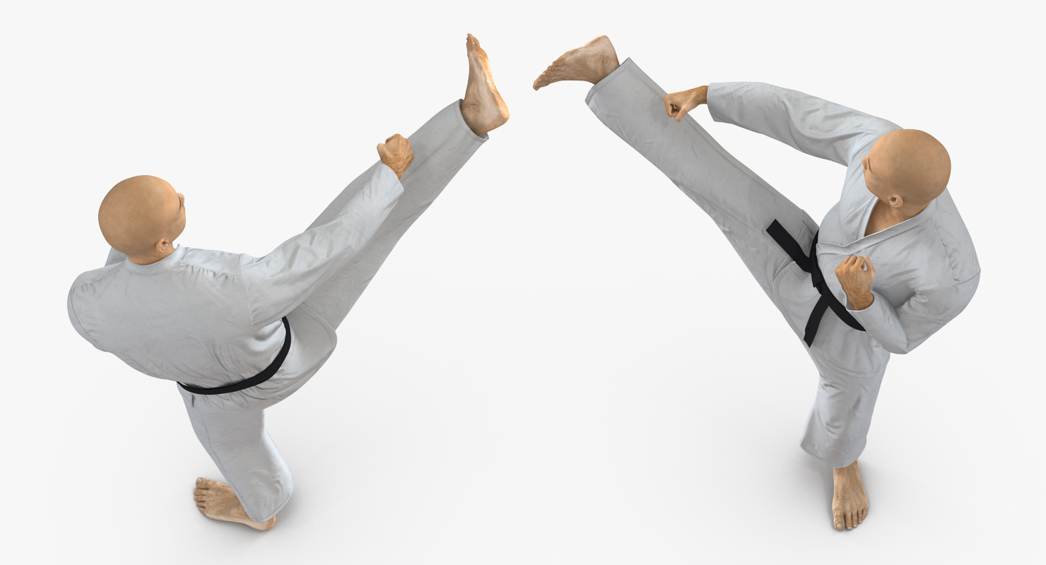3D model Japanese Karate Fighter Rigged
