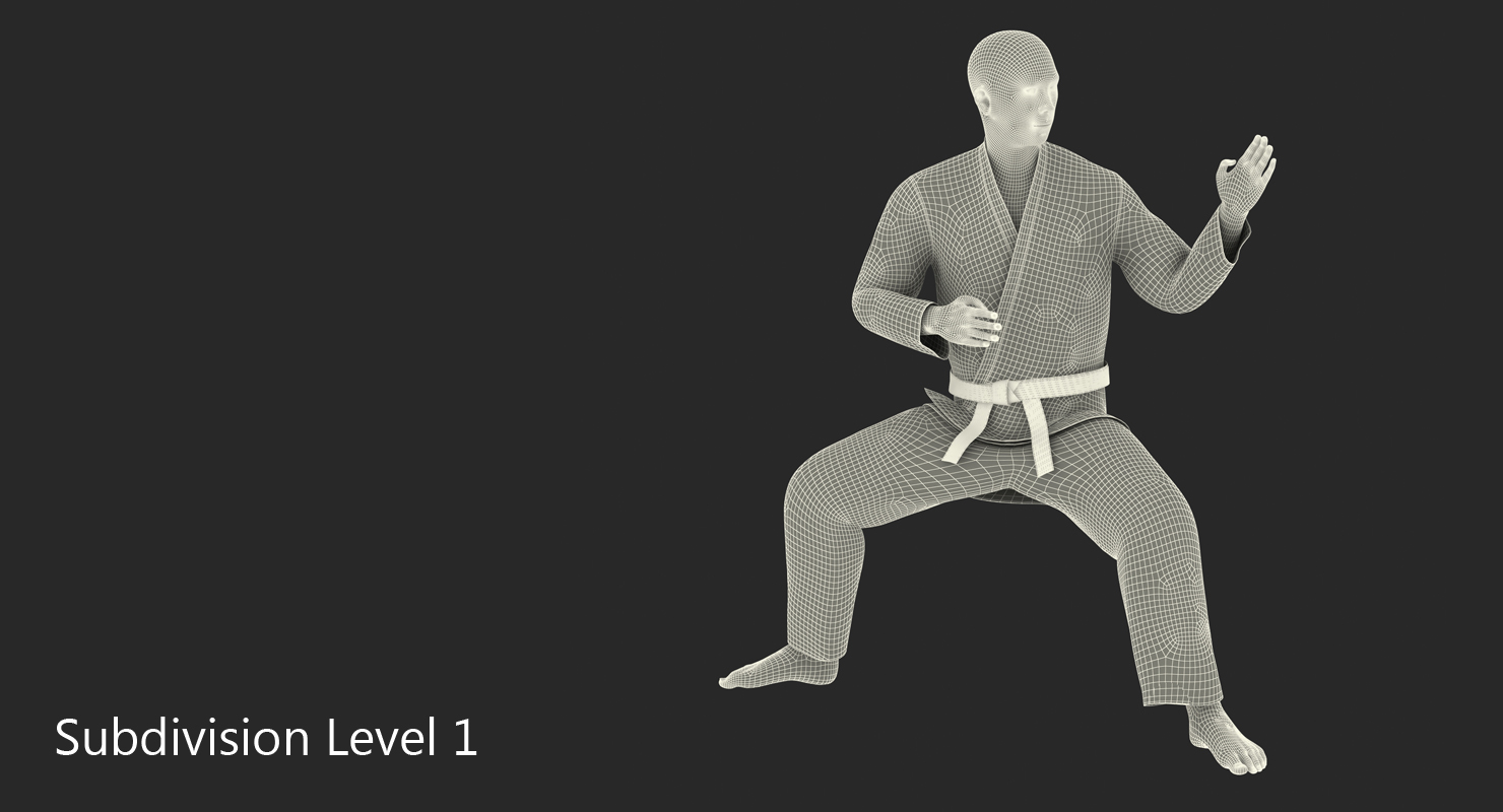 3D model Japanese Karate Fighter Rigged