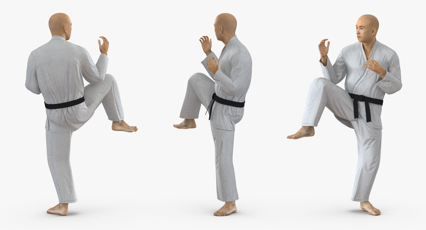 3D model Japanese Karate Fighter Rigged