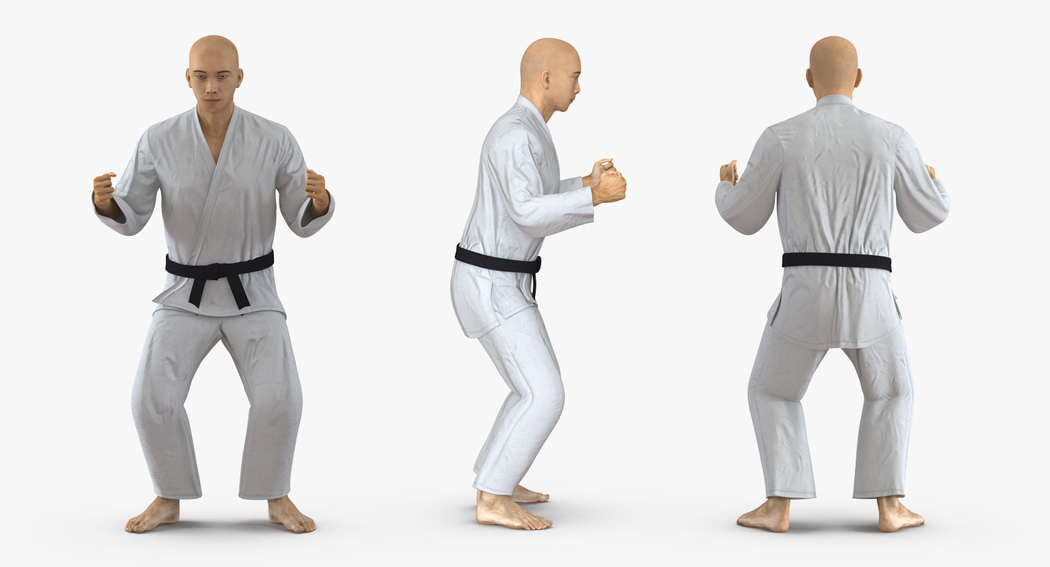 3D model Japanese Karate Fighter Rigged