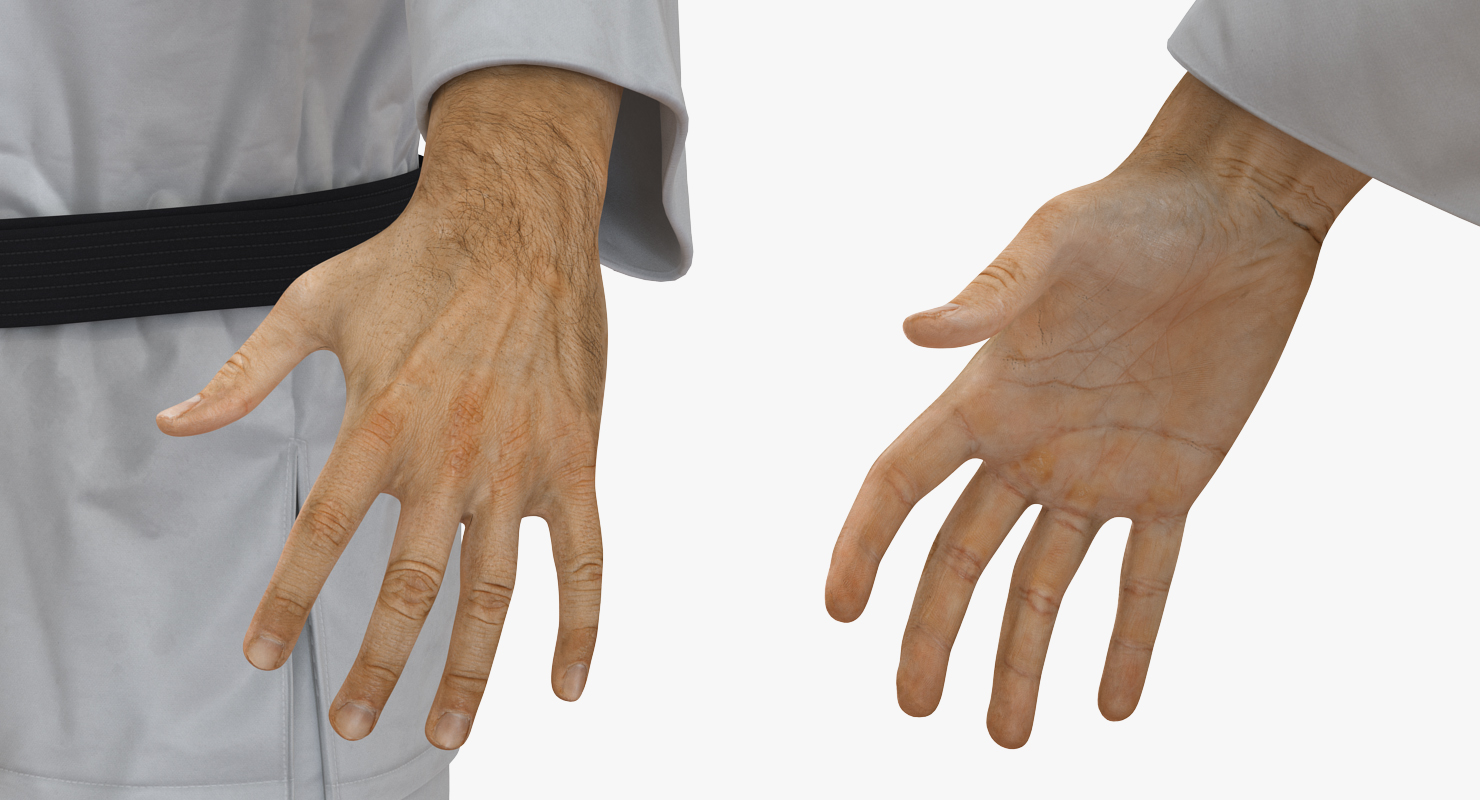 3D model Japanese Karate Fighter Rigged