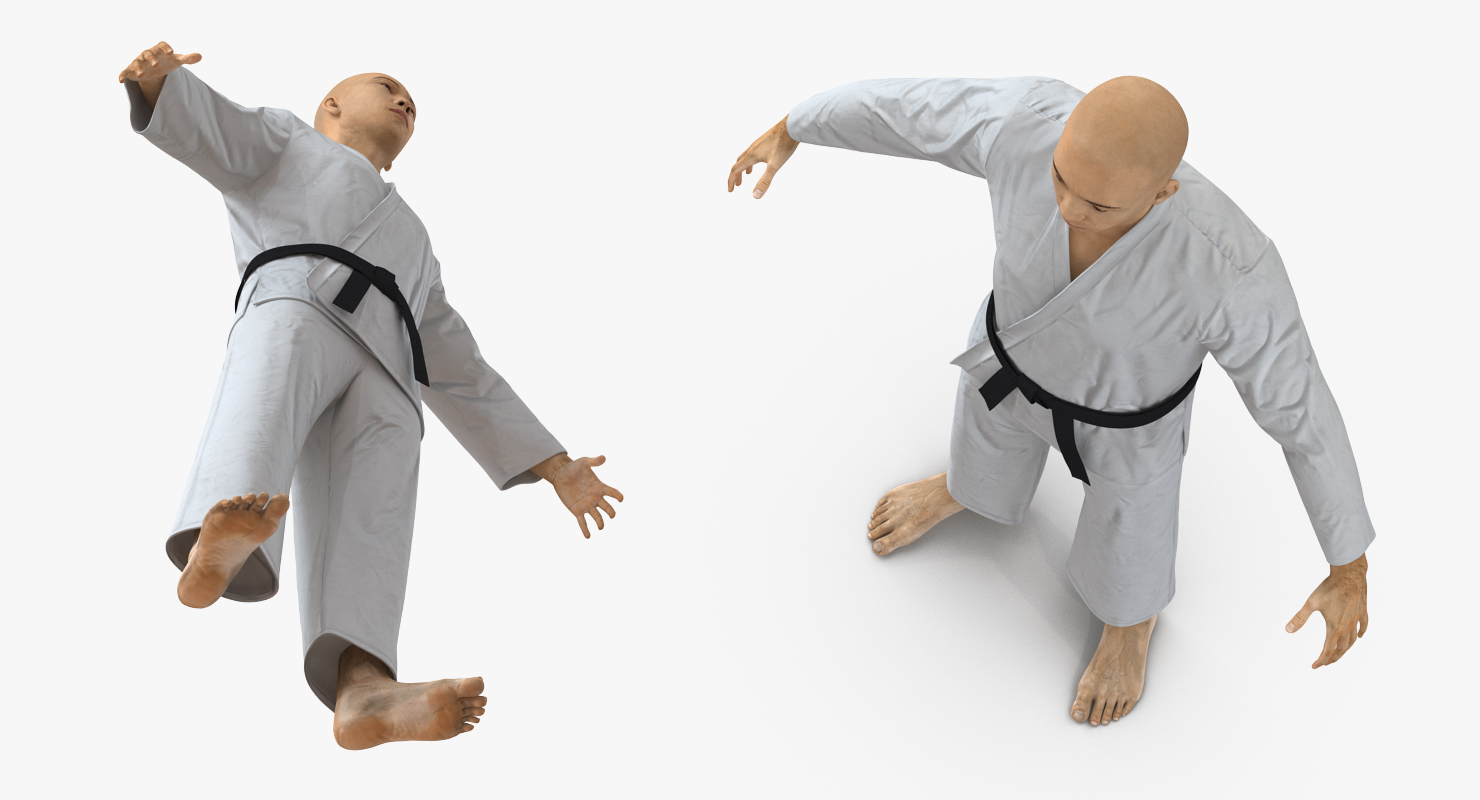 3D model Japanese Karate Fighter Rigged