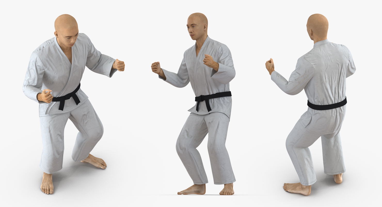 3D model Japanese Karate Fighter Rigged