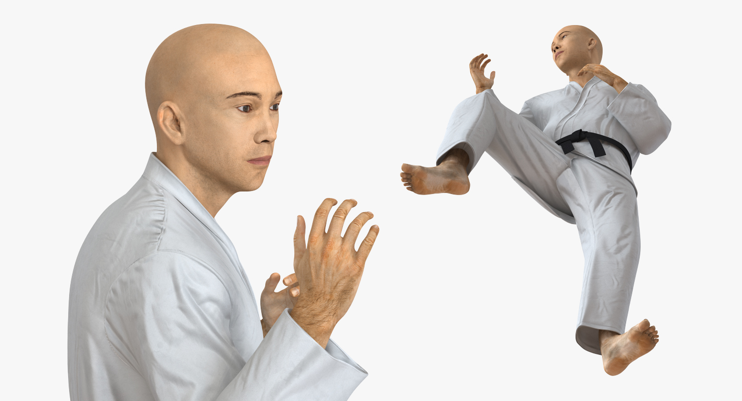 3D model Japanese Karate Fighter Rigged