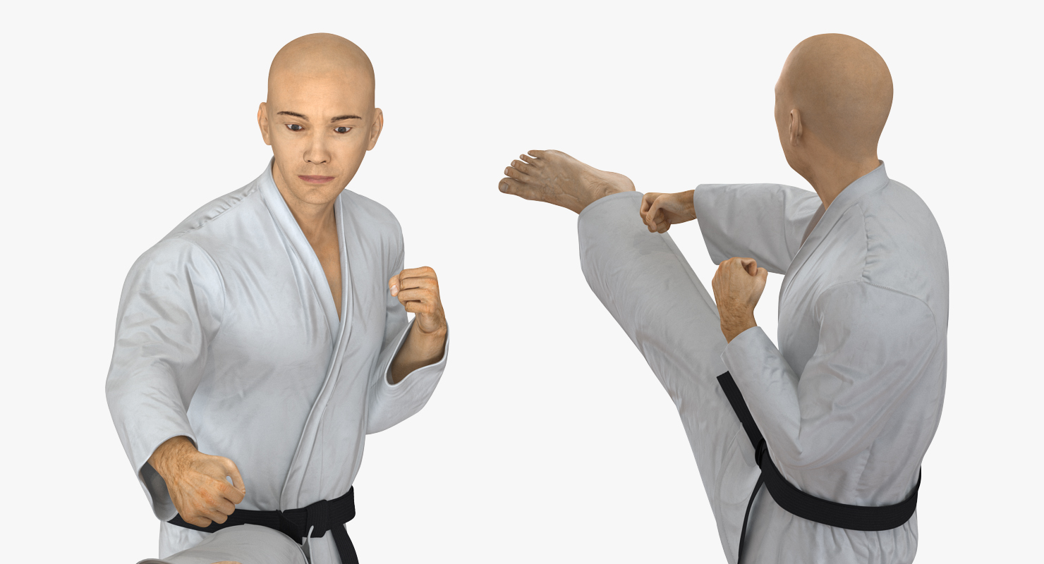 3D model Japanese Karate Fighter Rigged