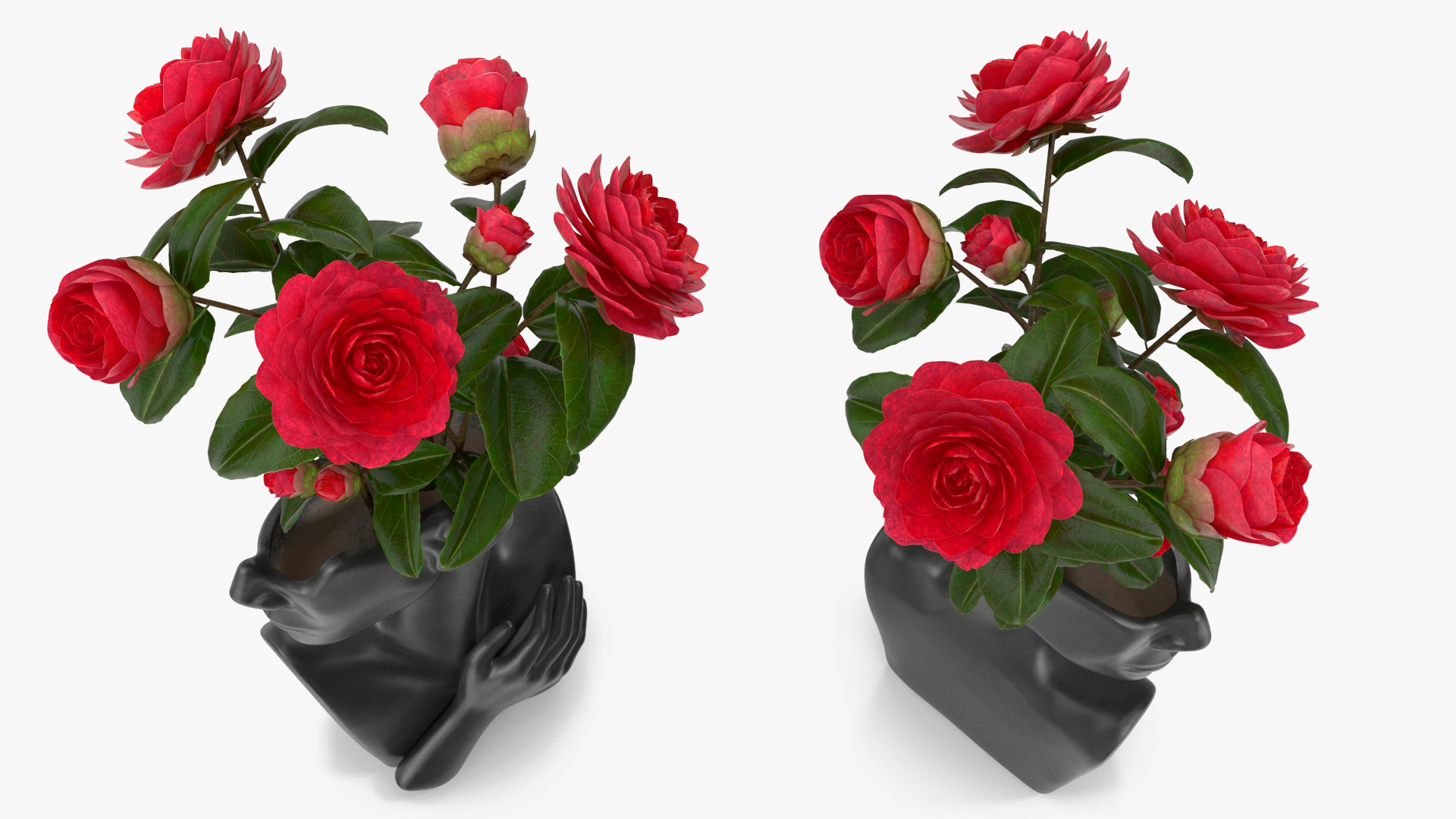 3D Ceramics Bust Vase Black with Camellia model