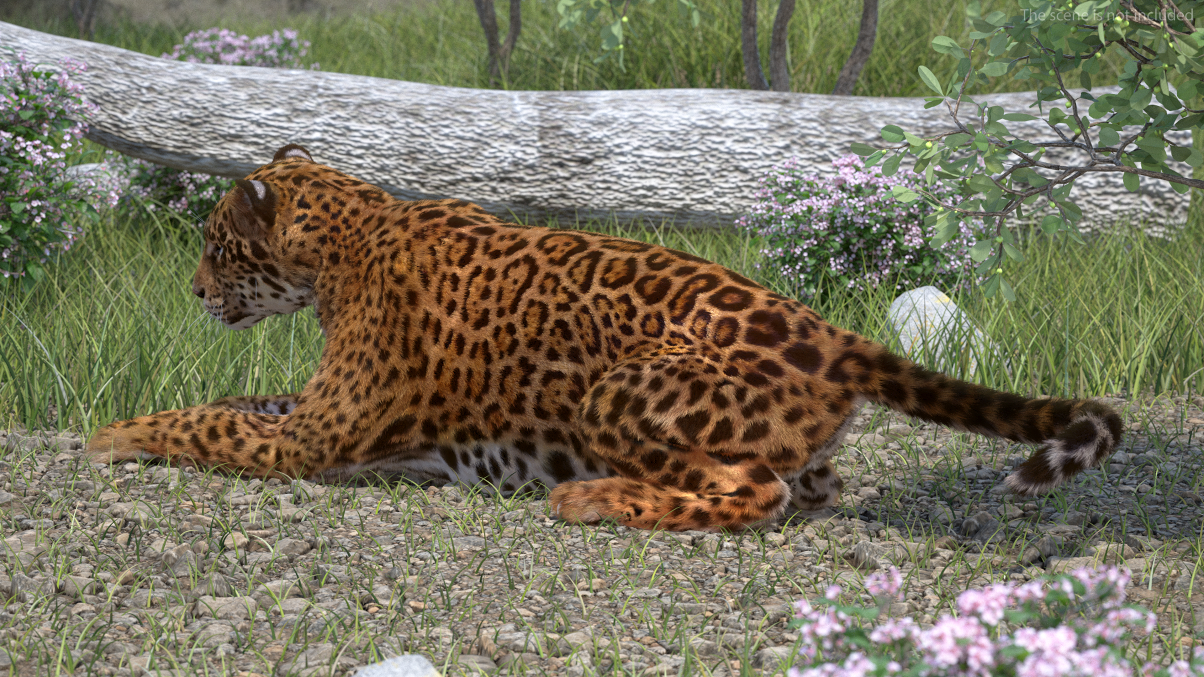 3D Jaguar Lying Down Fur