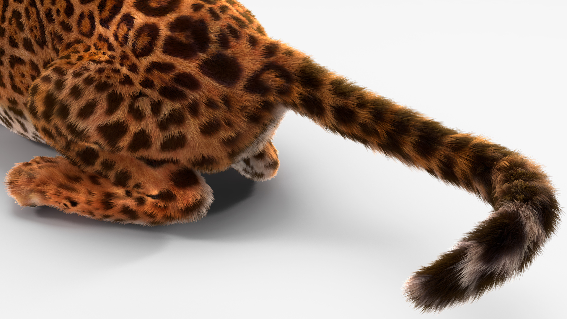 3D Jaguar Lying Down Fur