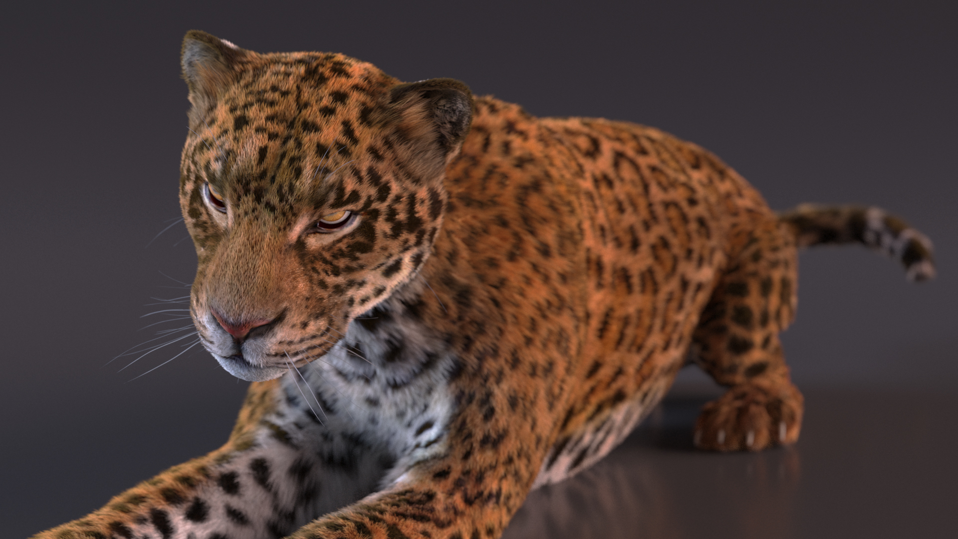 3D Jaguar Lying Down Fur
