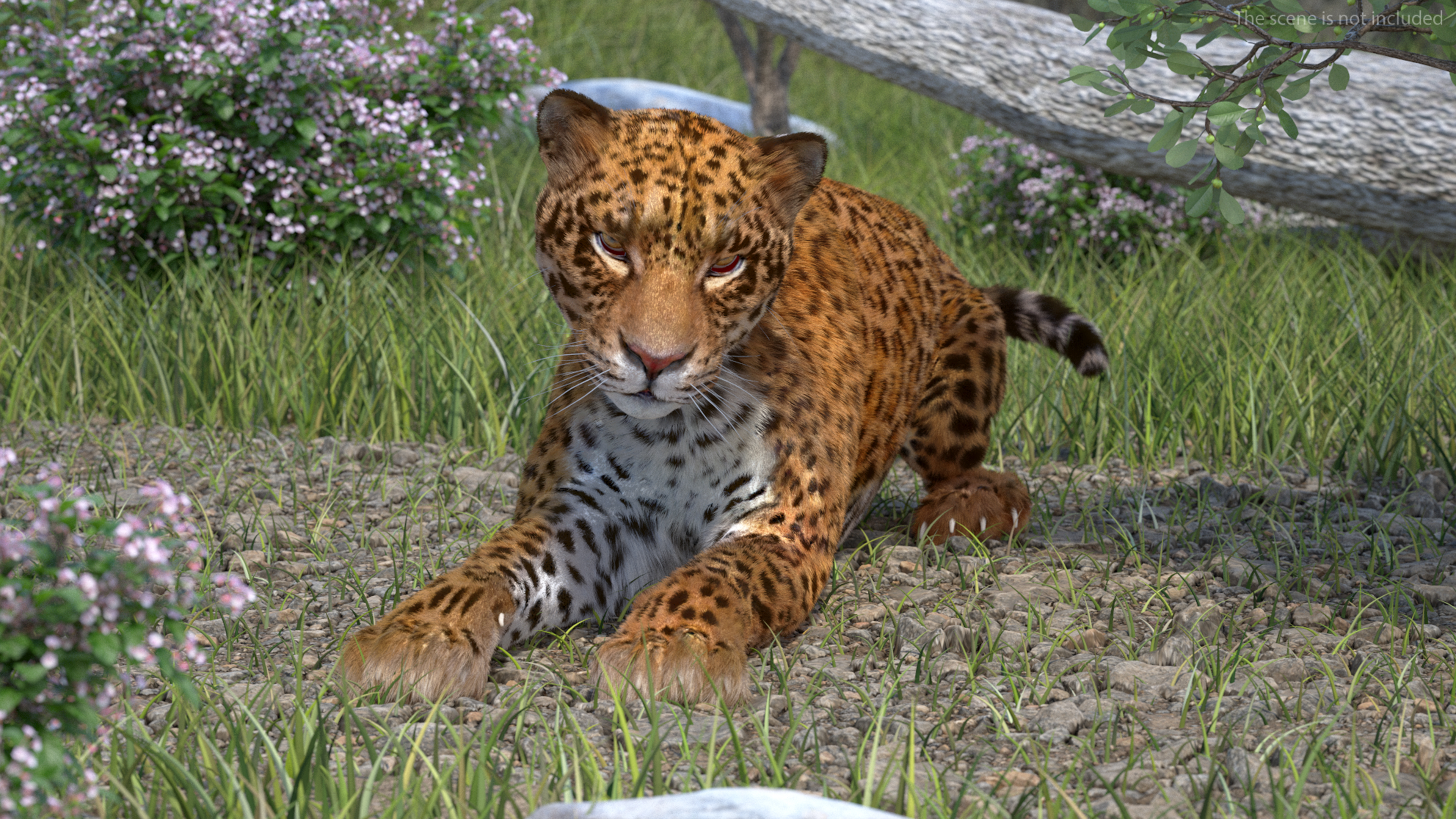 3D Jaguar Lying Down Fur