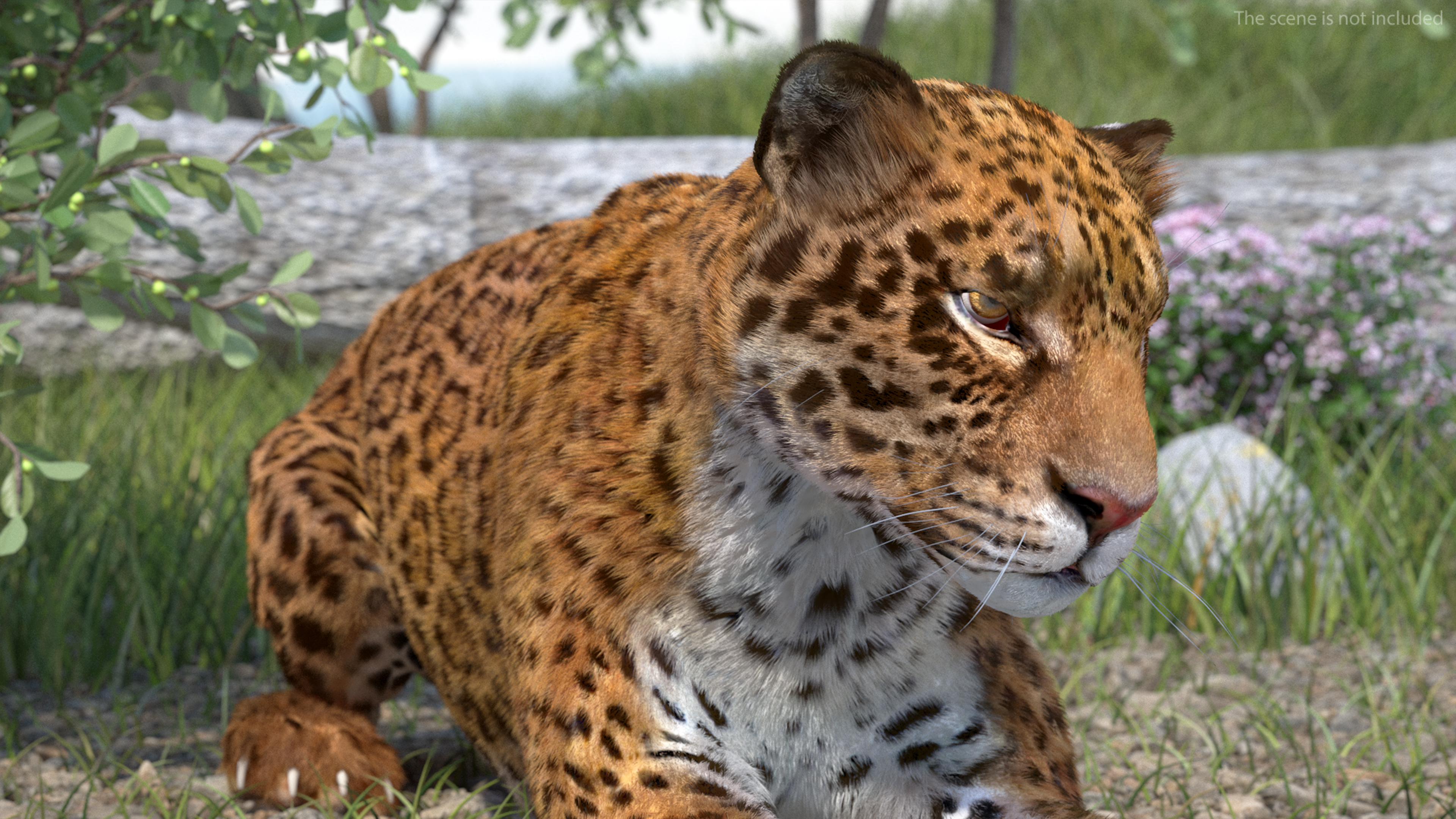 3D Jaguar Lying Down Fur