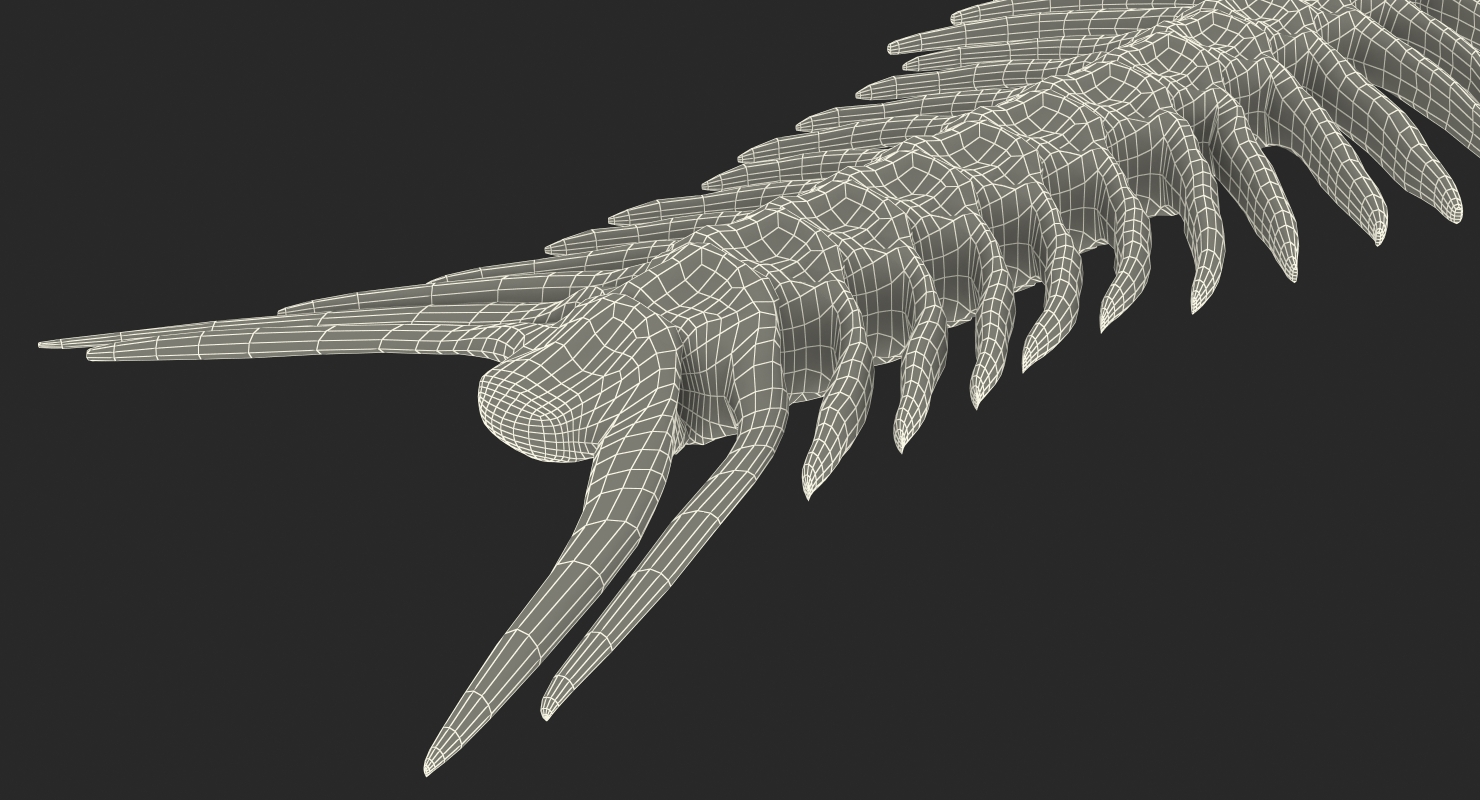3D model Fish Vertebrae Bones