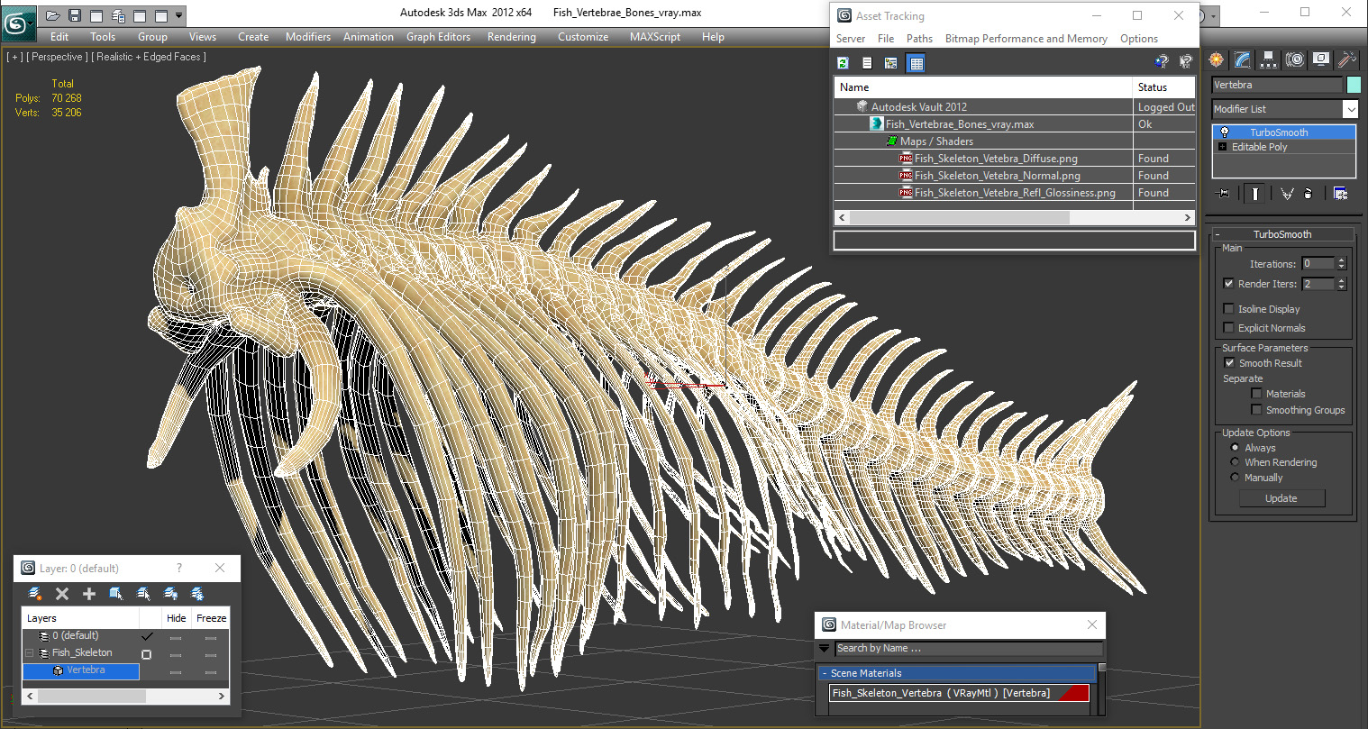 3D model Fish Vertebrae Bones