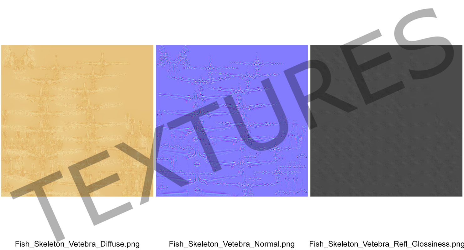 3D model Fish Vertebrae Bones