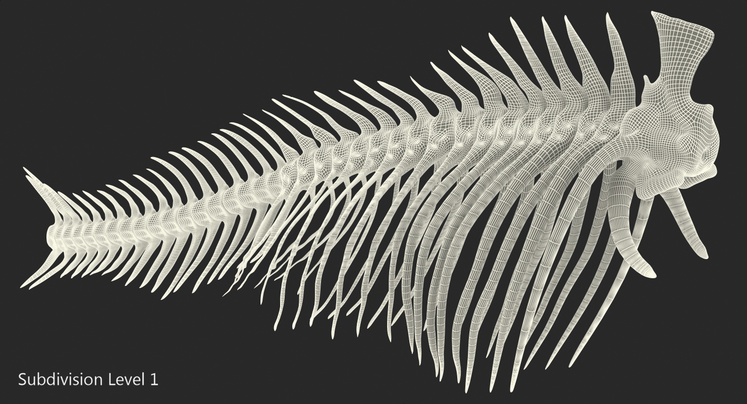 3D model Fish Vertebrae Bones