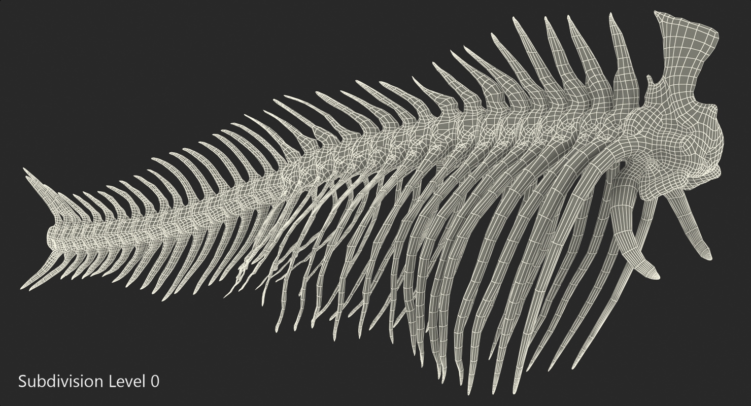 3D model Fish Vertebrae Bones