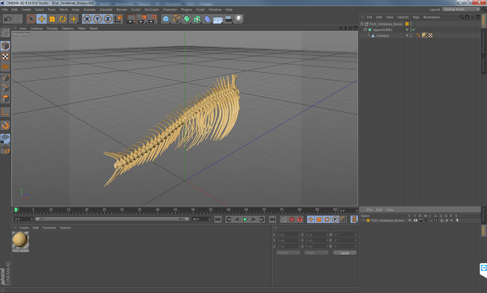 3D model Fish Vertebrae Bones