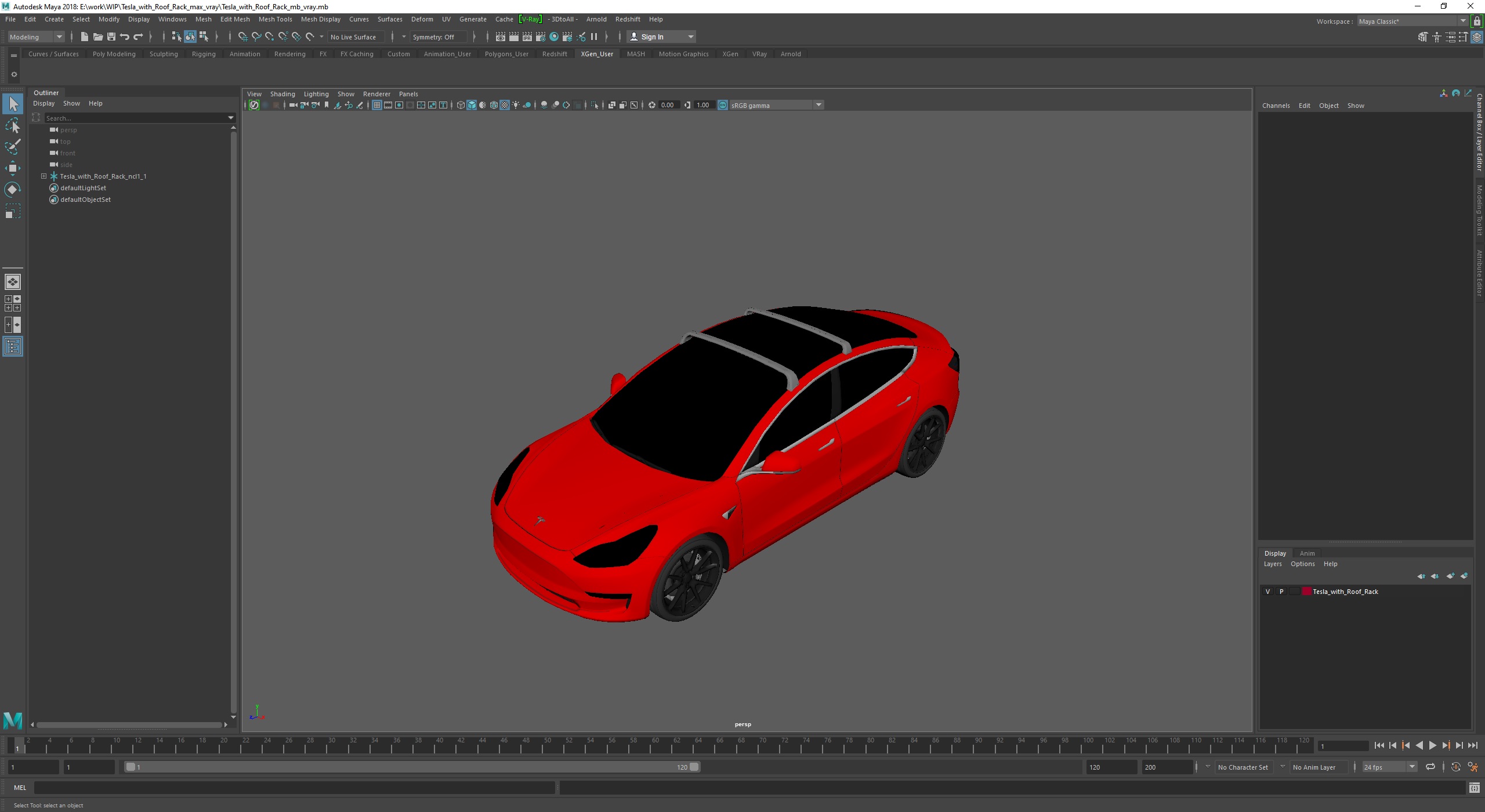 3D model Tesla with Roof Rack