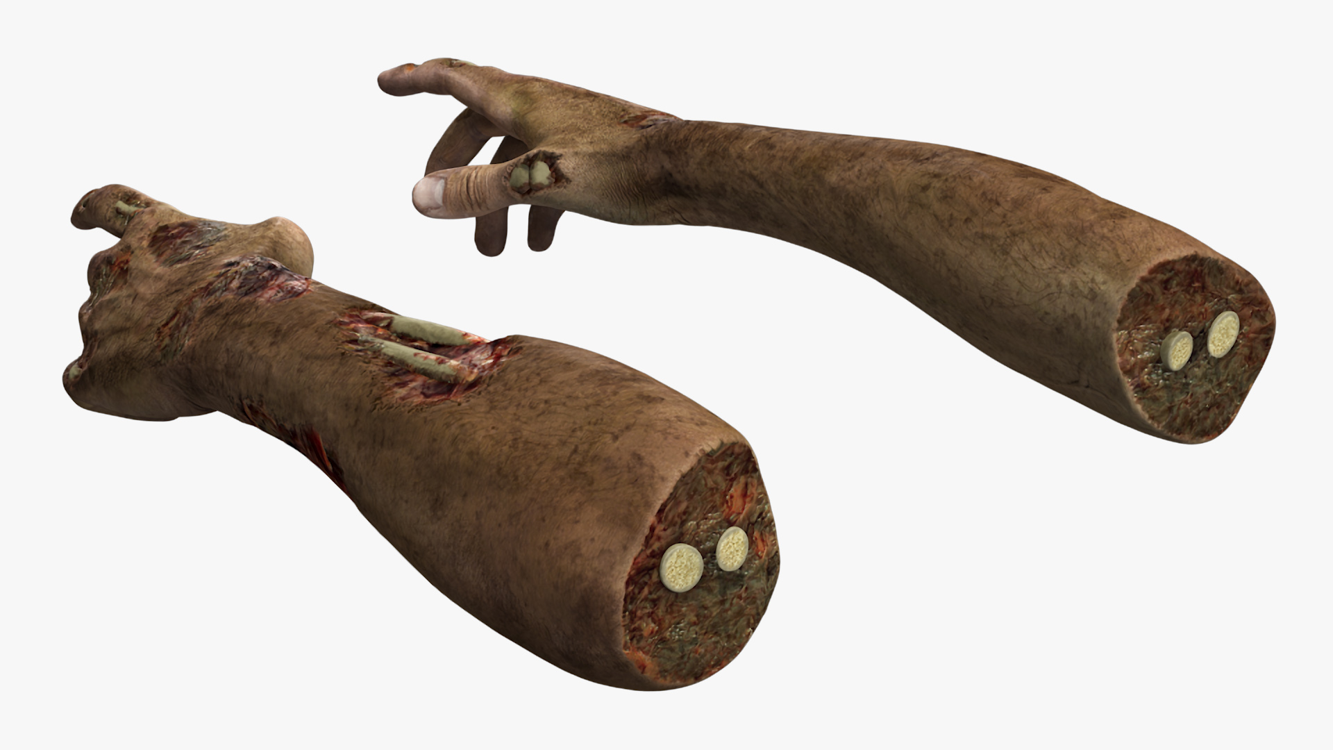 Zombie Hands Rigged 3D model