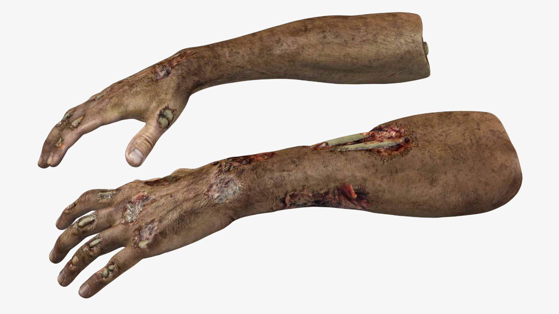 Zombie Hands Rigged 3D model
