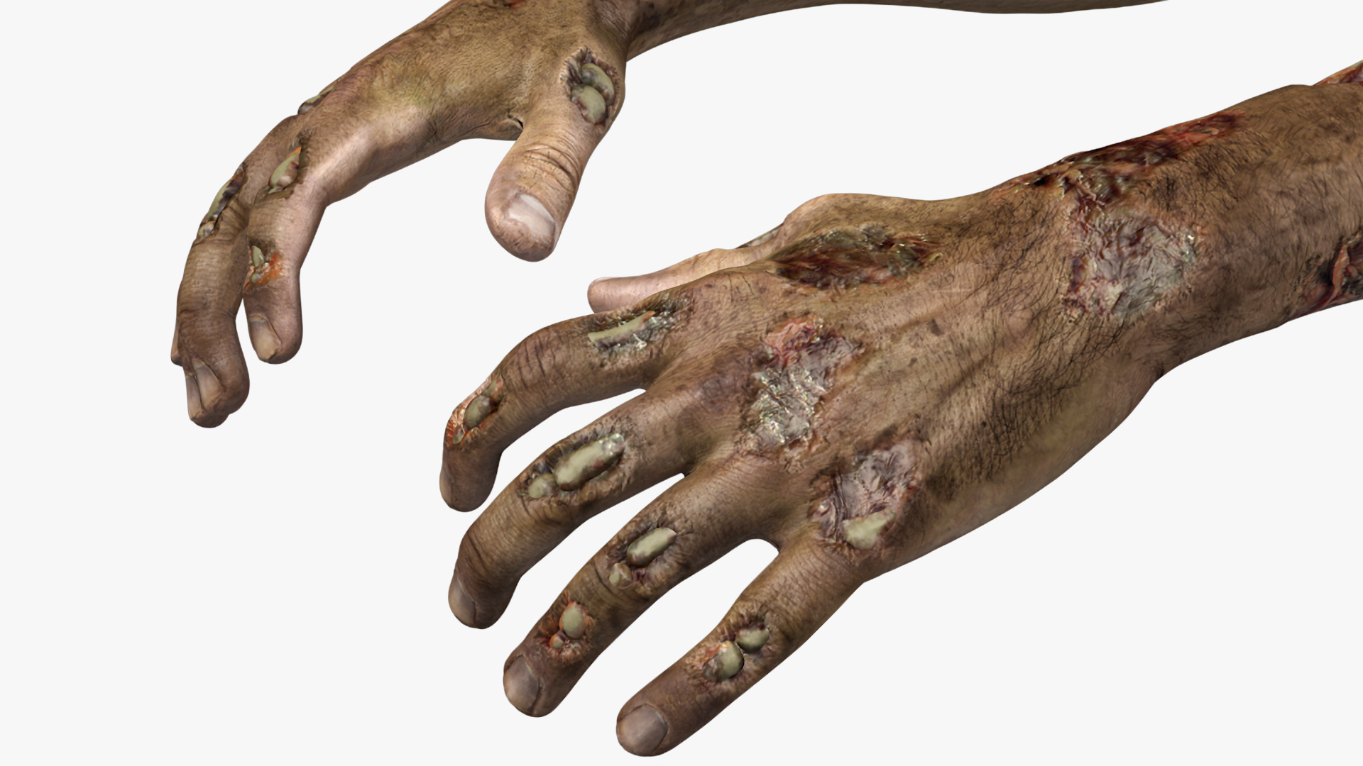 Zombie Hands Rigged 3D model