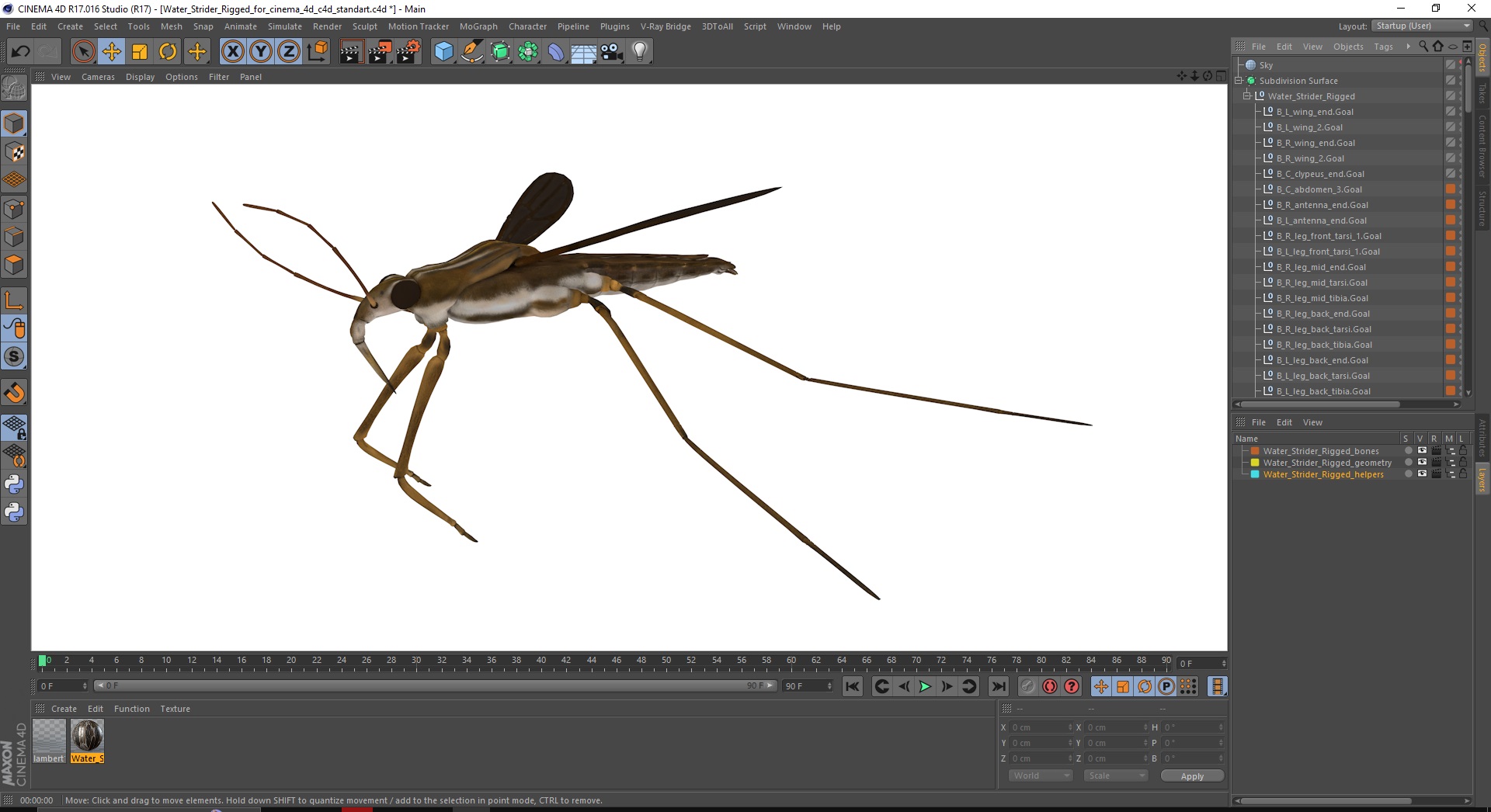 Water Strider Rigged for Cinema 4D 3D model