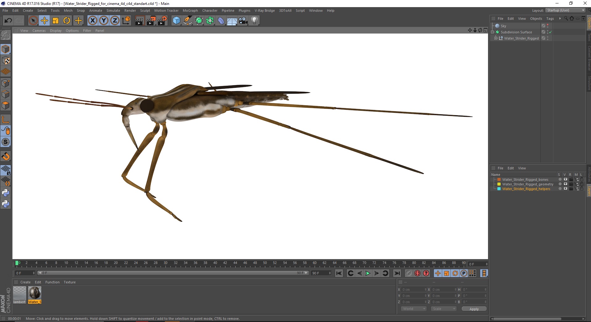 Water Strider Rigged for Cinema 4D 3D model