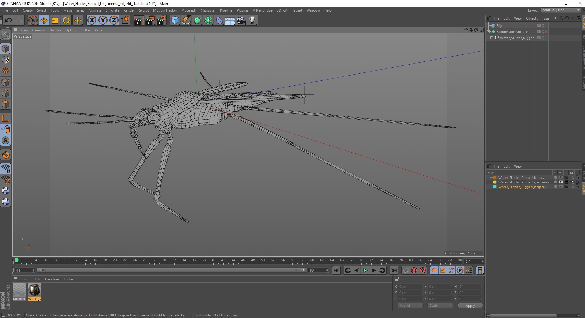 Water Strider Rigged for Cinema 4D 3D model