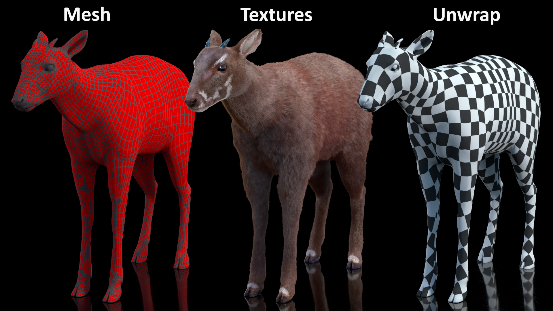 Saola Fur 3D model