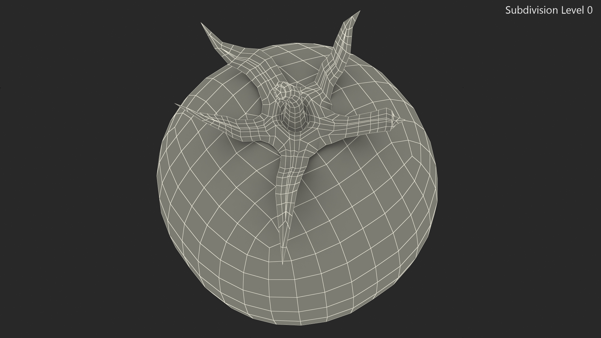 3D Red Cherry Tomato Fur