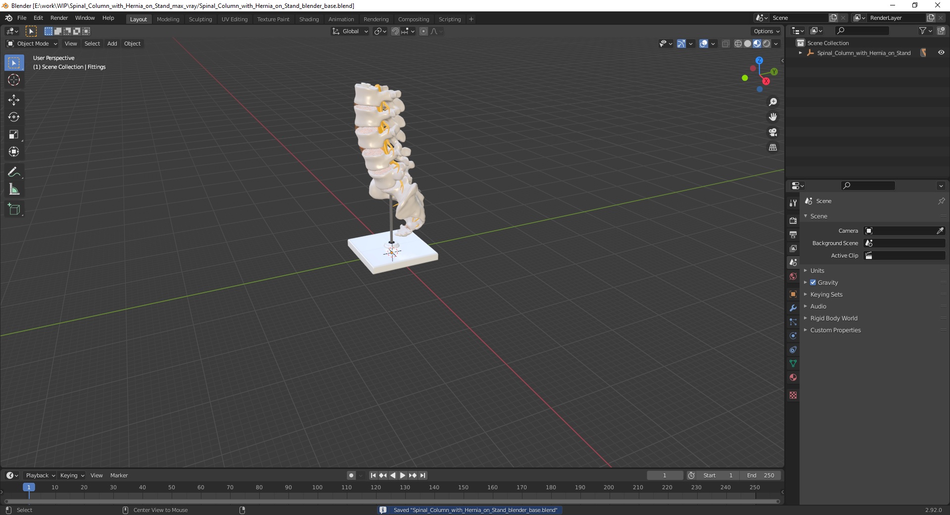 Spinal Column with Hernia on Stand 3D model