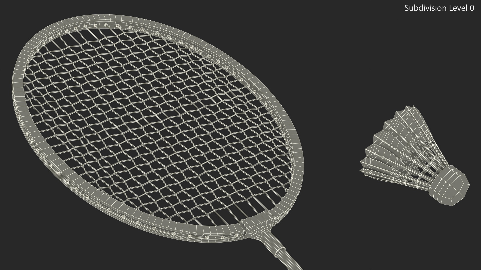 3D Professional Carbon Fiber Badminton Racket and Feather Shuttlecock
