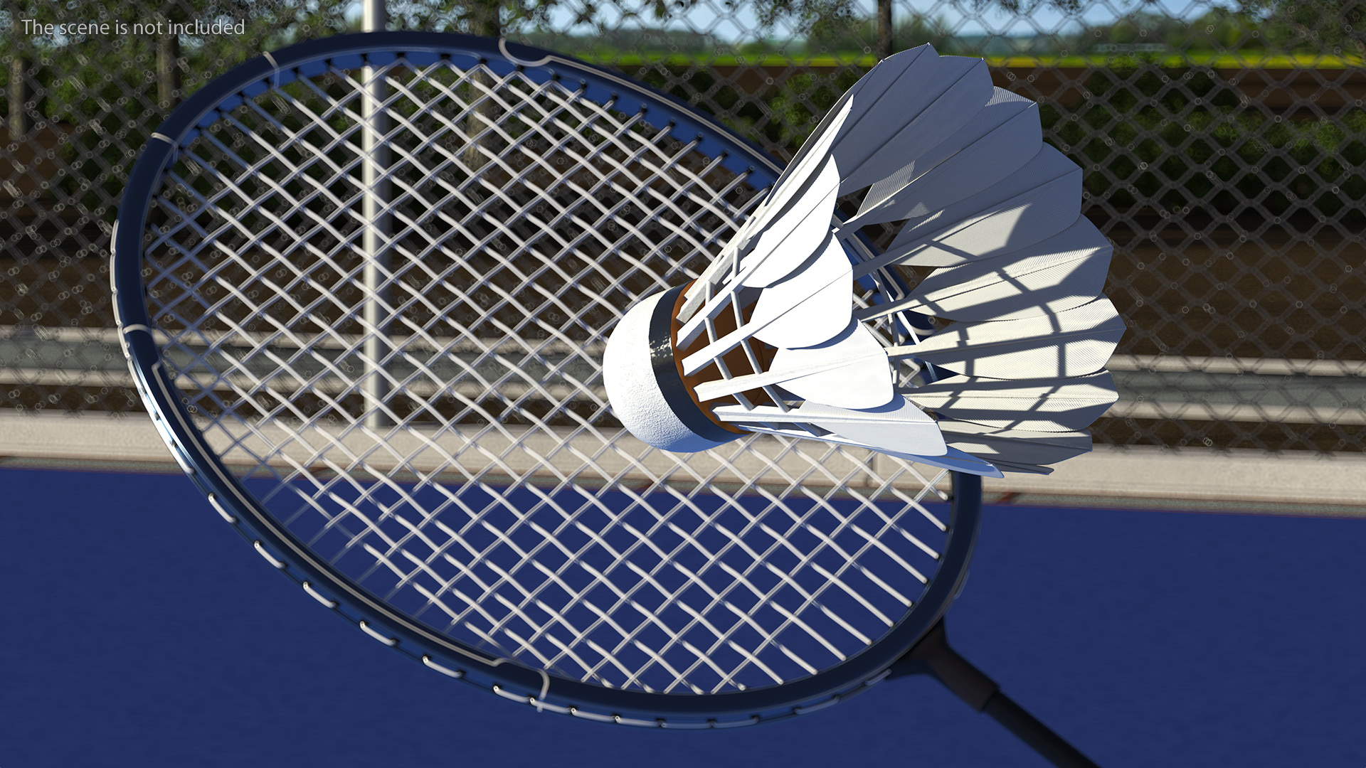 3D Professional Carbon Fiber Badminton Racket and Feather Shuttlecock