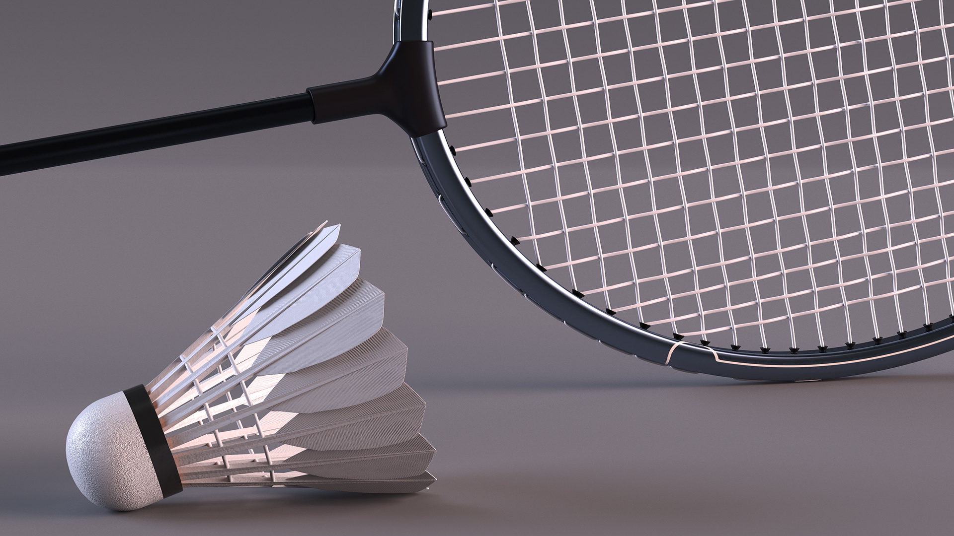 3D Professional Carbon Fiber Badminton Racket and Feather Shuttlecock