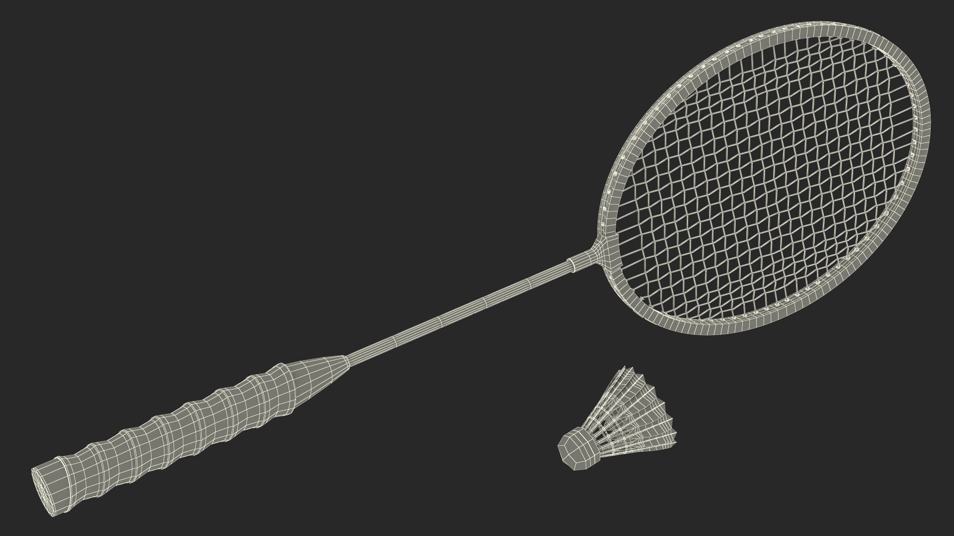 3D Professional Carbon Fiber Badminton Racket and Feather Shuttlecock