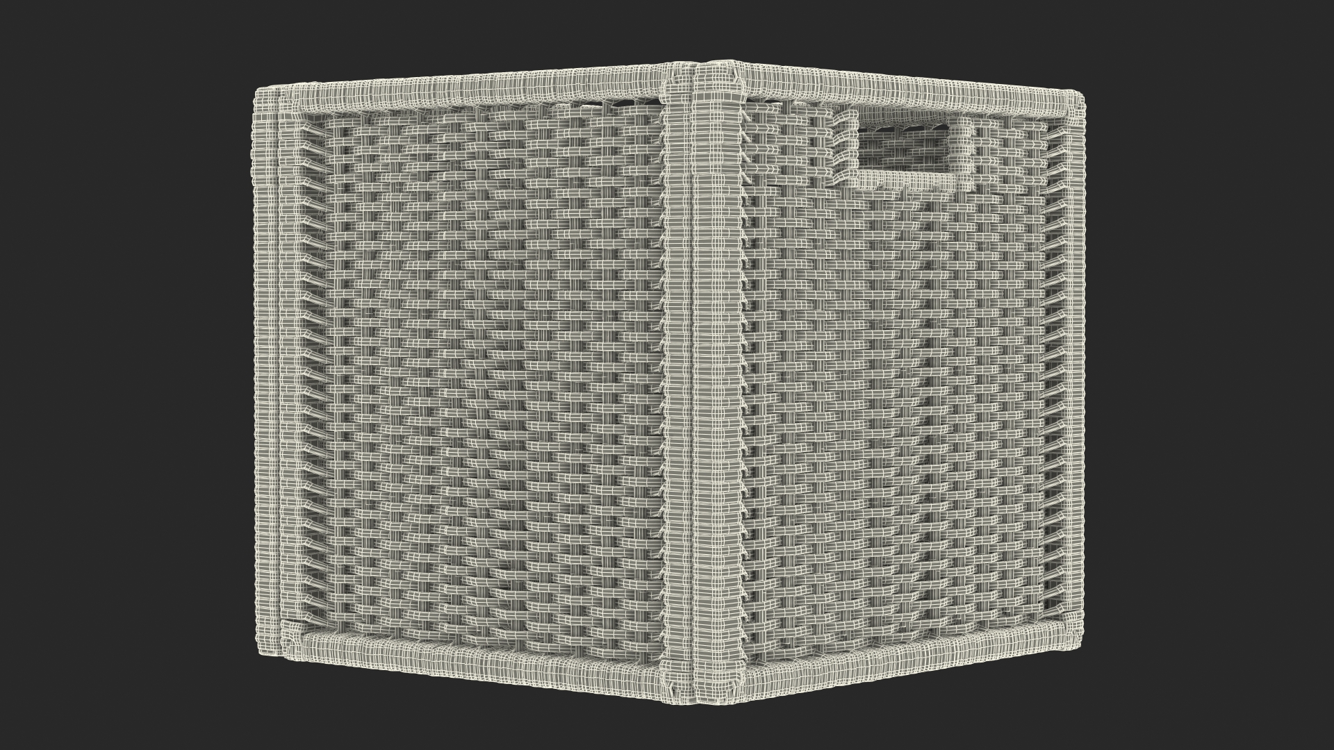 3D Rattan Storage Basket