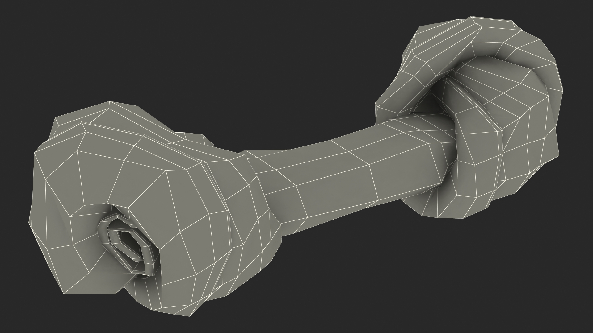 3D Chewing Dog Chew Bone