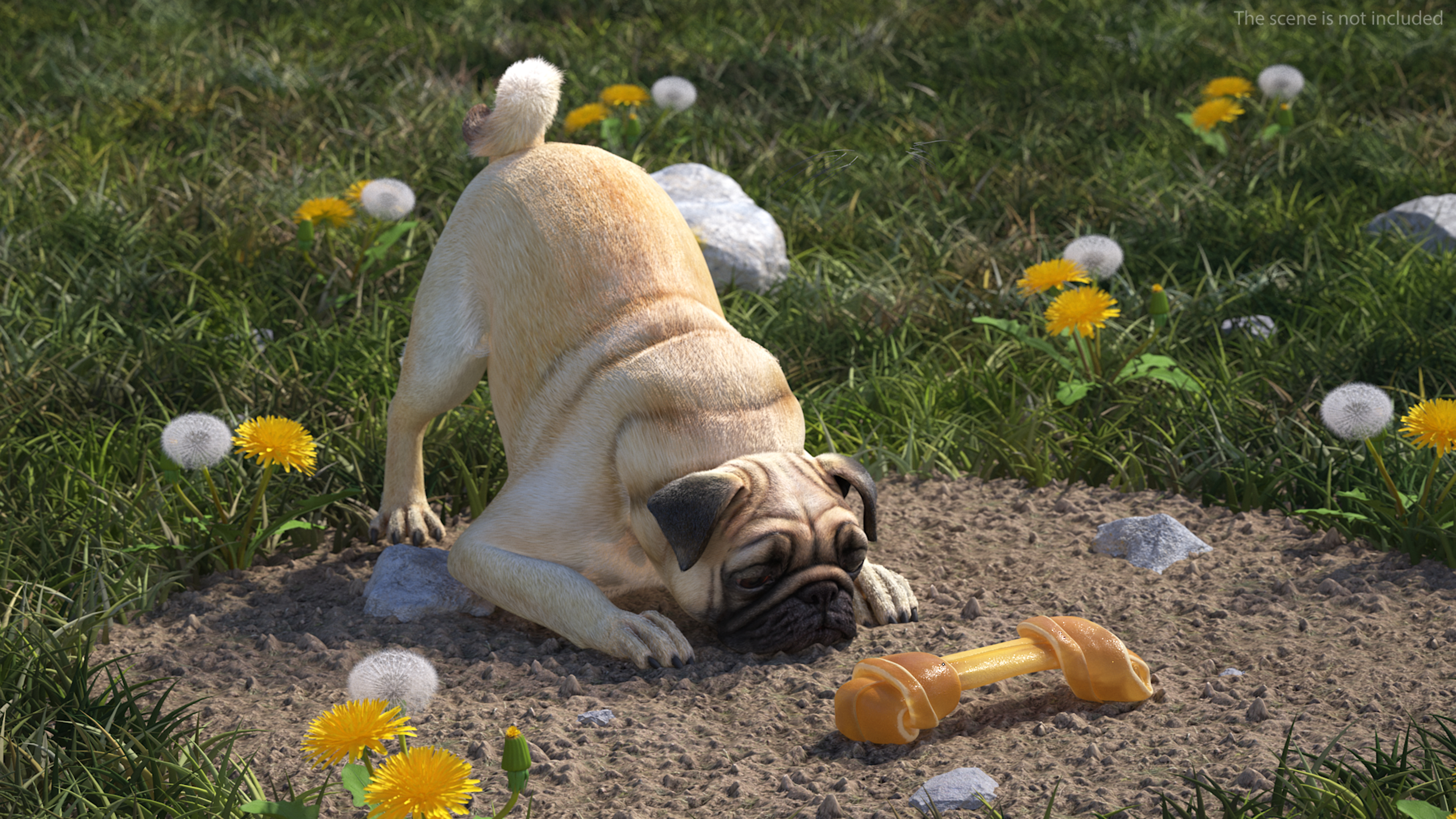 3D Chewing Dog Chew Bone