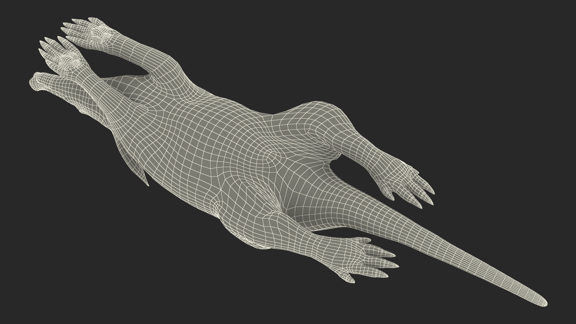 3D Aardvark Lying Pose Fur model