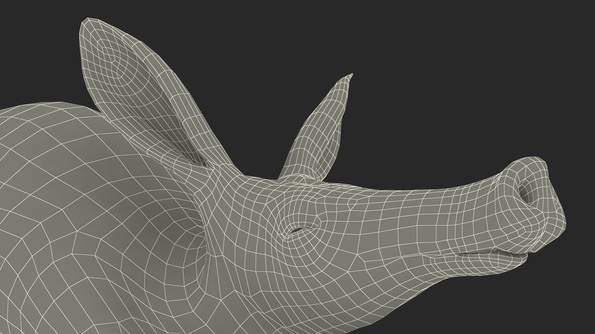 3D Aardvark Lying Pose Fur model