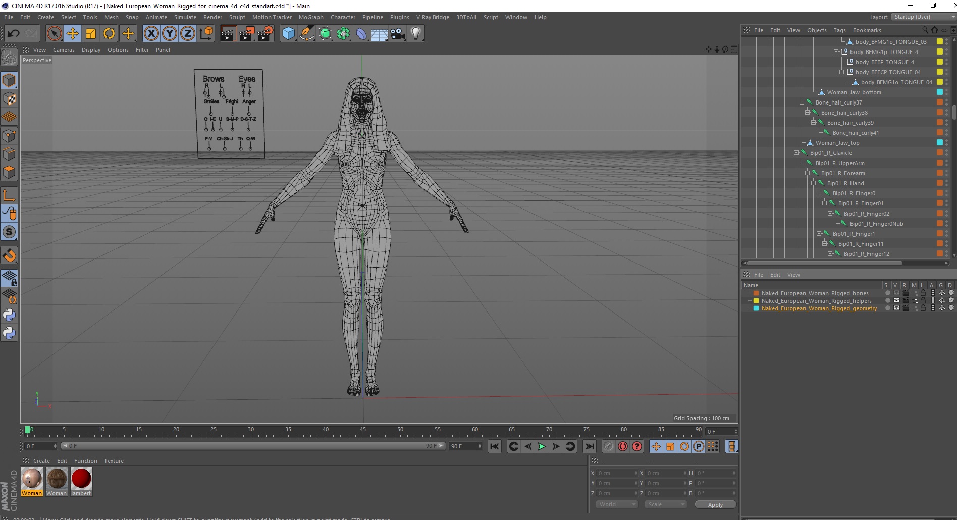 3D Naked European Woman Rigged for Cinema 4D