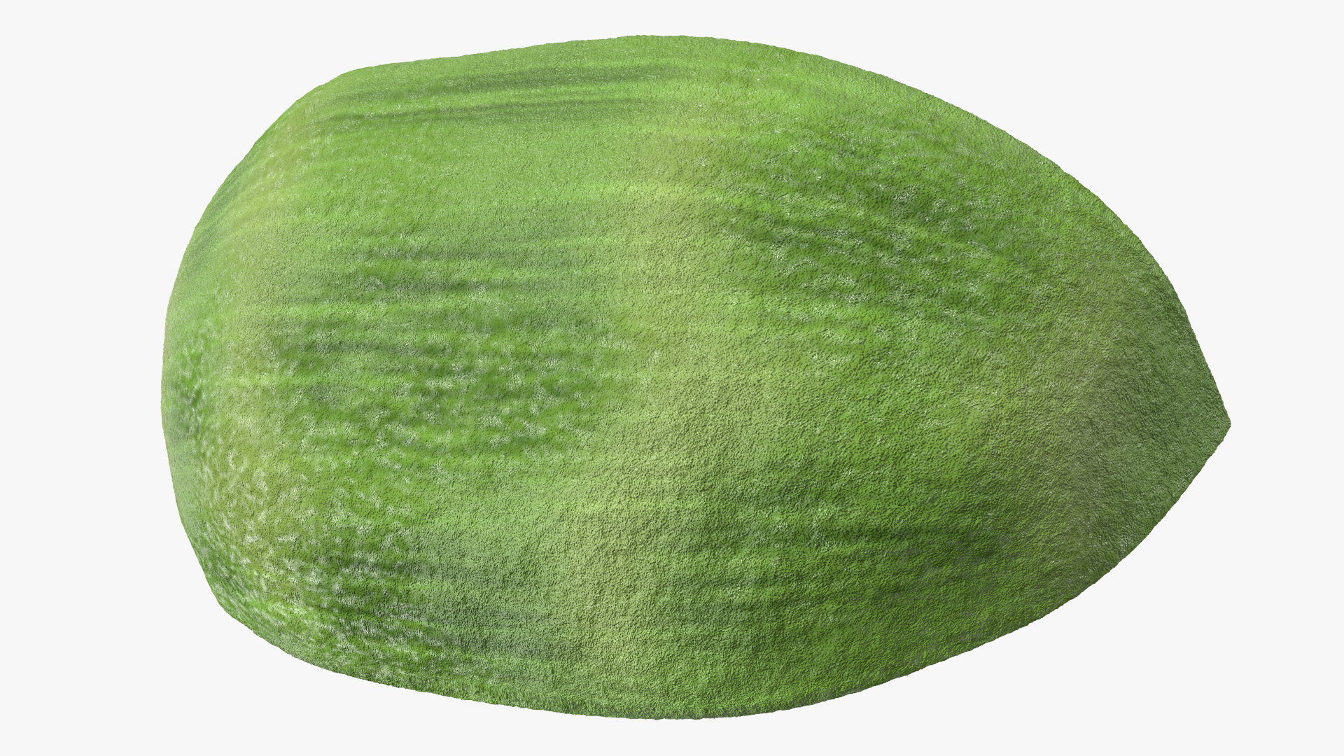 3D Peeled Half Kiwi Slices model