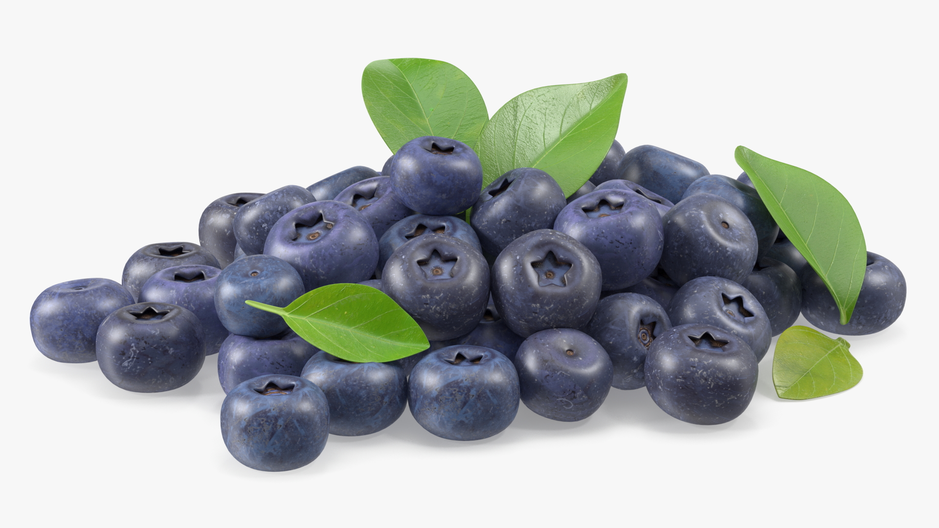 Bunch of Garden Ripe Blueberries 3D